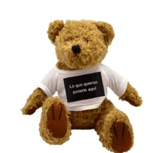 Oso teddy personalizado 18cm personalizado