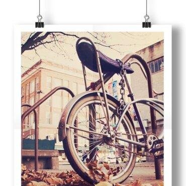 Donde Imprimir Afiches Naturales en Alajuela | Alta Calidad y Acabado Profesional