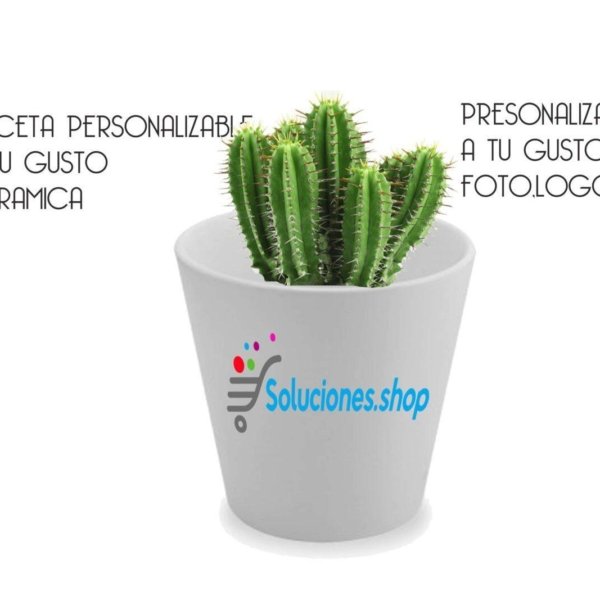 Maceta personalizada con logo, foto o texto