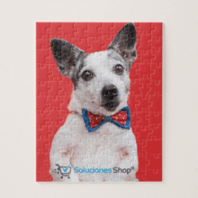 Puzzle de 120 piezas personalizado Rompecabezas con tu diseño