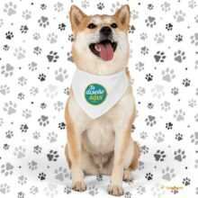Pañoleta con collar para mascotas pequeñas – Personalízala con nombre o diseño