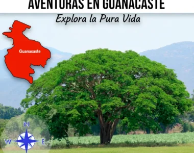 Regalos Personalizados en Guanacaste – Envíos Rápidos en 12–48 h | Soluciones Shop®